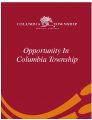 Icon of Opportunity In